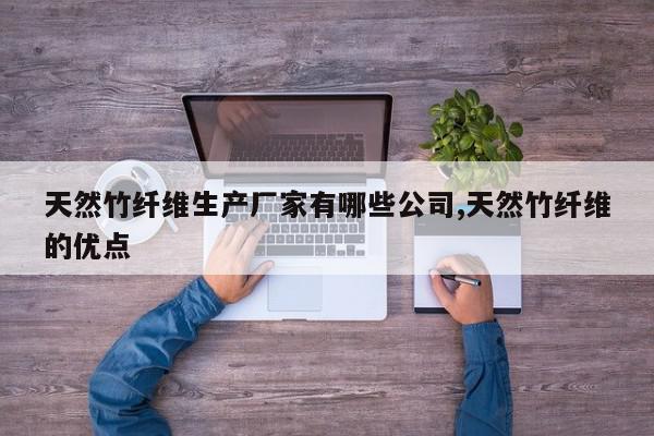 天然竹纤维生产厂家有哪些公司,天然竹纤维的优点