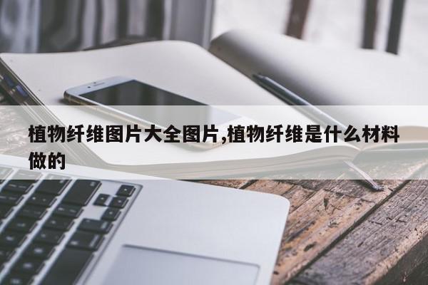 植物纤维图片大全图片,植物纤维是什么材料做的